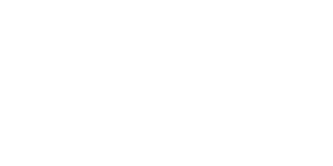 Portfolio Title